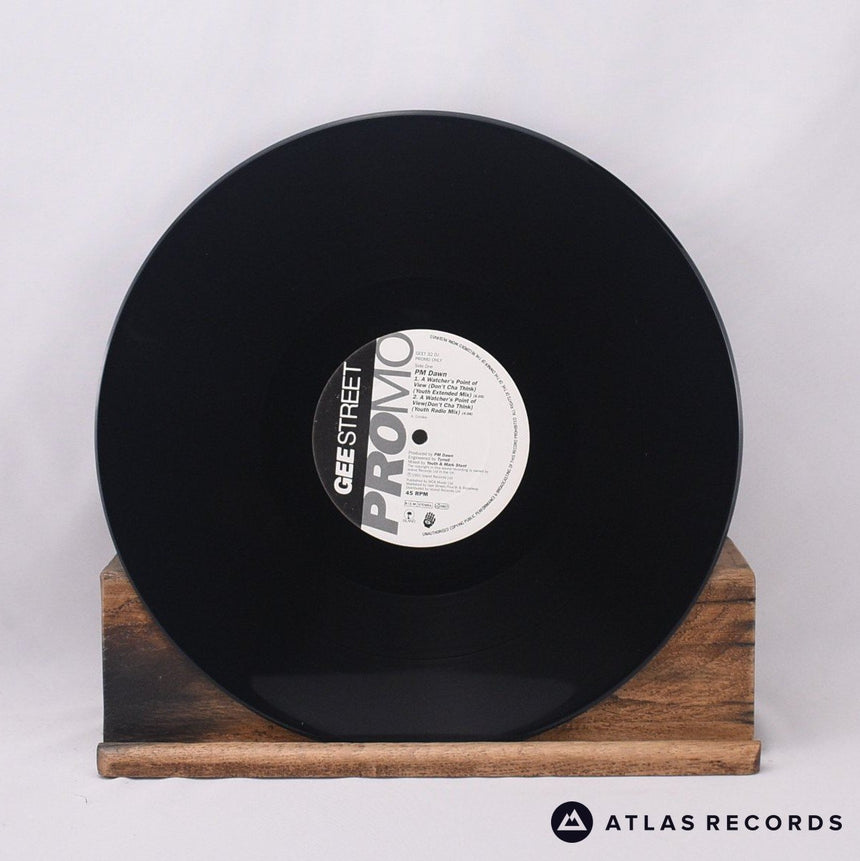 P.M. Dawn - A Watcher's Point Of View - Insert Promo 12" Vinyl Record - VG+/EX