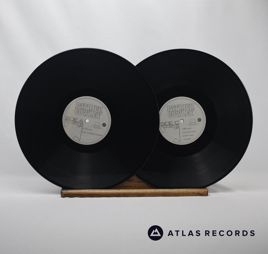 Patrick Cowley - Muscle Up - Insert Poster A B Double LP Vinyl Record - NM/NM