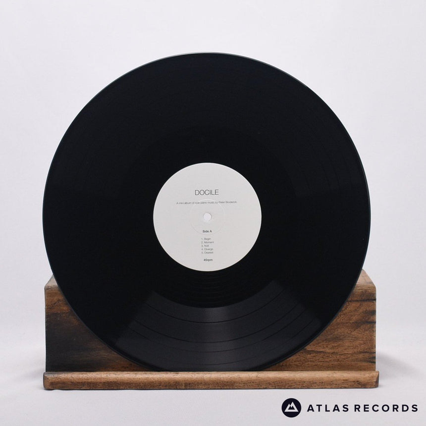 Peter Broderick - Docile - Reissue LP Vinyl Record - EX/EX