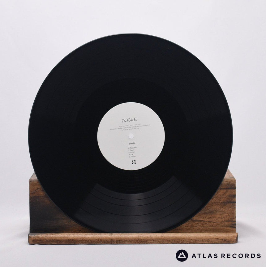 Peter Broderick - Docile - Reissue LP Vinyl Record - EX/EX