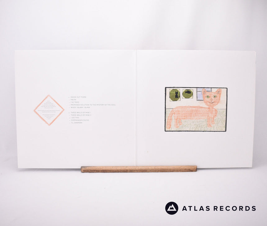 Peter Broderick - These Walls Of Mine - LP Vinyl Record