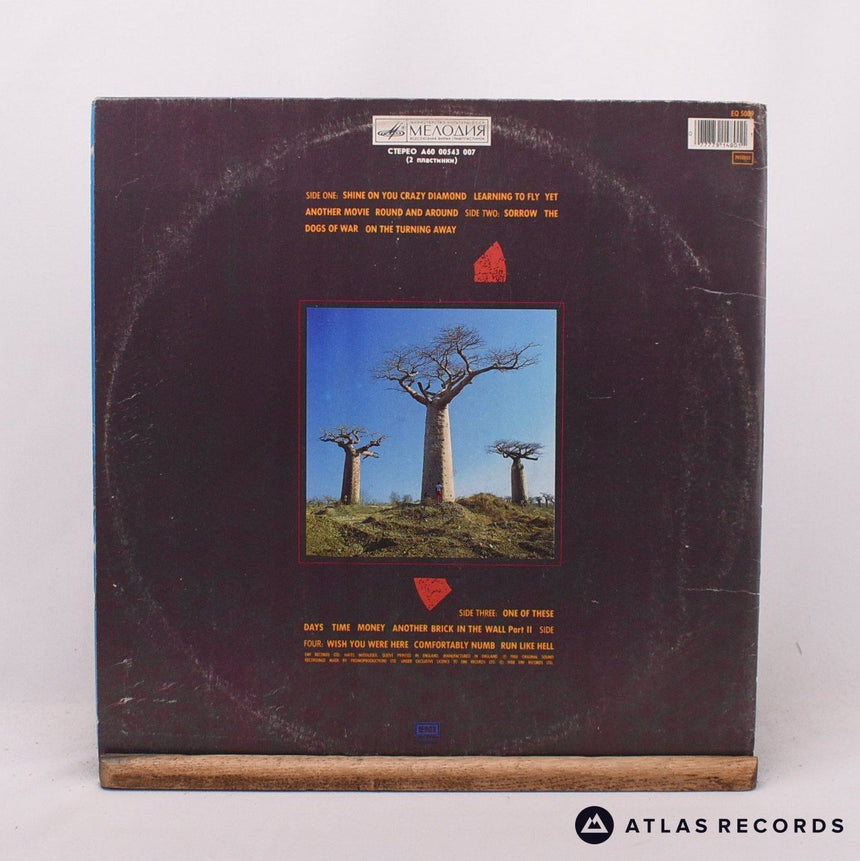 Pink Floyd - Delicate Sound Of Thunder - 2 x LP Vinyl Record - VG/VG+