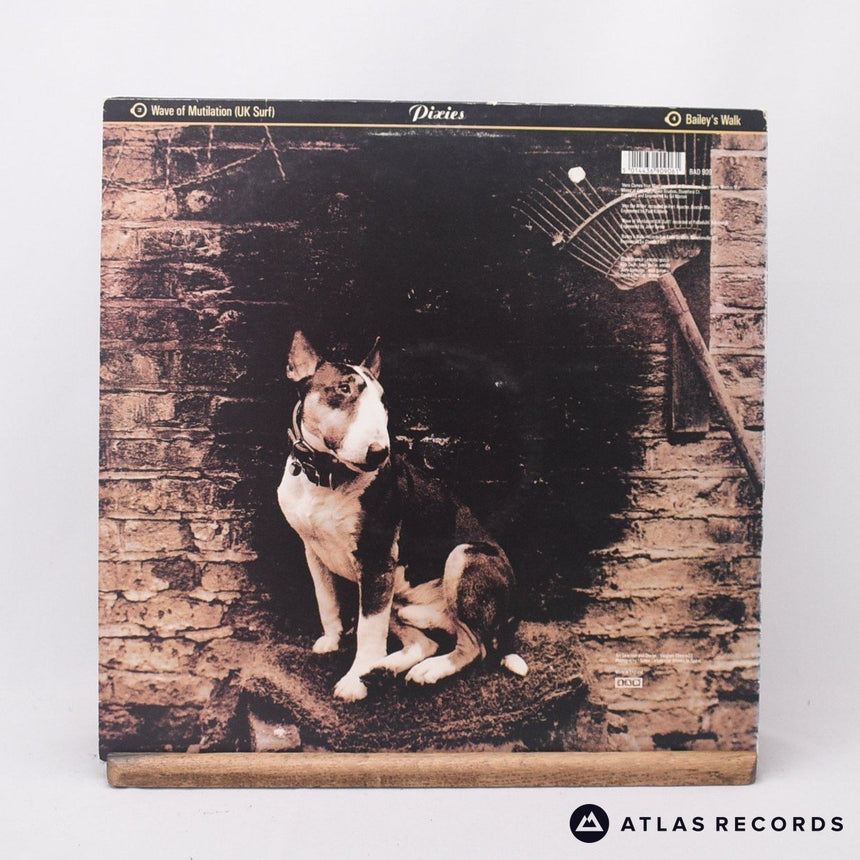 Pixies - Here Comes Your Man - A1 B1 12" Vinyl Record - VG+/EX