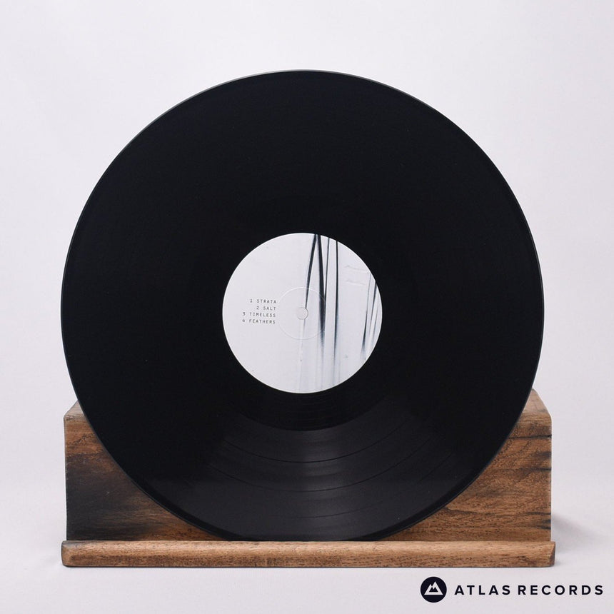 Poppy Ackroyd - Feathers - 180G Gatefold a b LP Vinyl Record - NM/NM