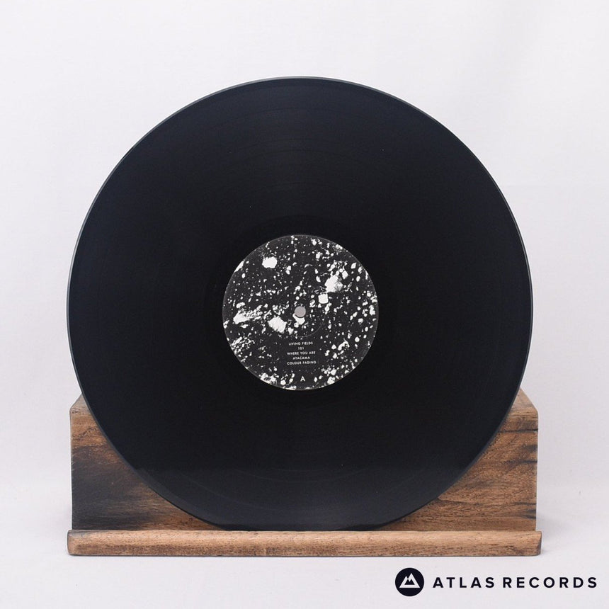 Portico Quartet - Living Fields - Insert LP Vinyl Record - NM/EX