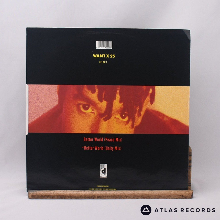 Rebel MC - Better World - 12" Vinyl Record - VG+/EX