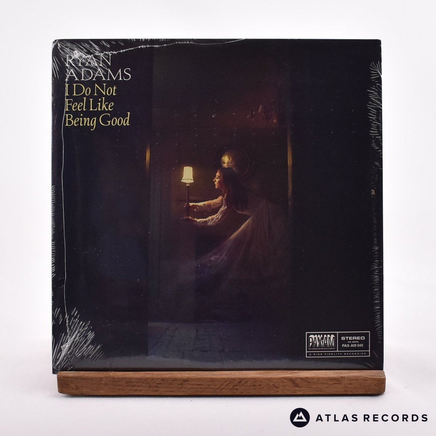 Ryan Adams I Do Not Feel Like Being Good 7" Vinyl Record - Front Cover & Record