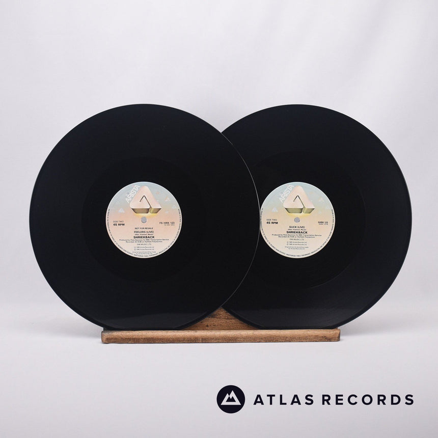 Shriekback - Nemesis (Extended) - Limited Edition 2 x 12" Vinyl Record - EX/EX