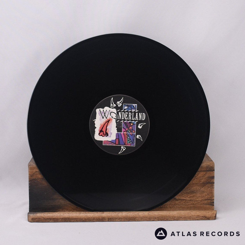 Siouxsie & The Banshees - Hyaena - A//1 B//2 LP Vinyl Record - EX/EX