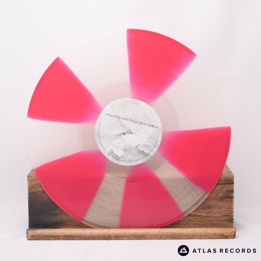 Starsailor - Where The Wild Things Grow - 1/A 2/A LP Vinyl Record - NM/NM