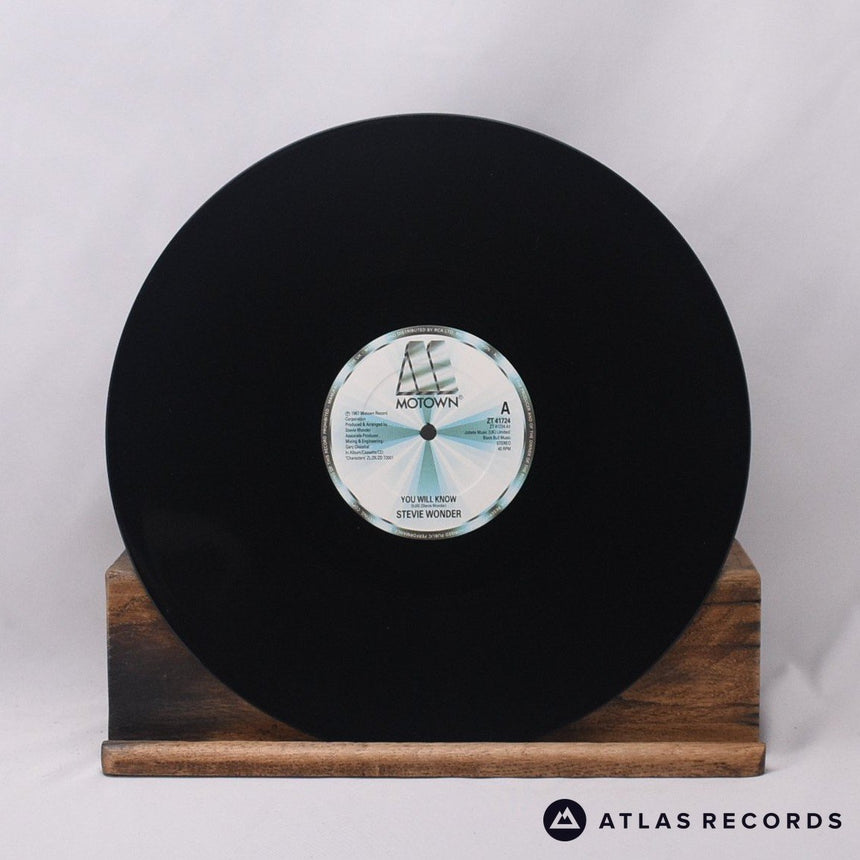 Stevie Wonder - You Will Know - Insert 12" Vinyl Record - EX/EX