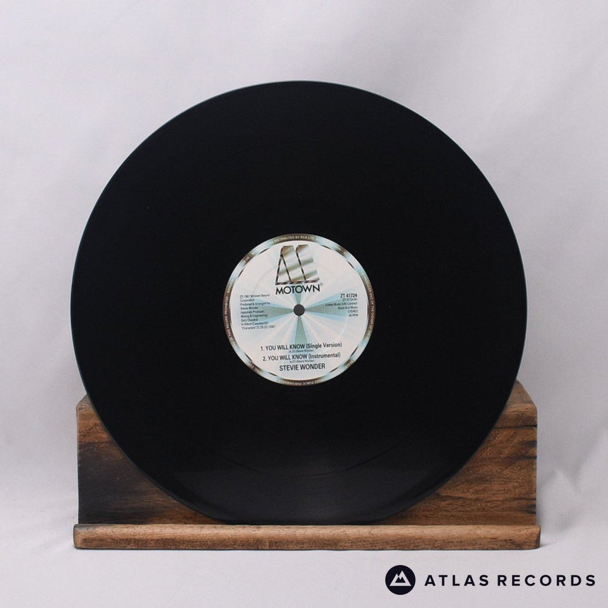 Stevie Wonder - You Will Know - Insert 12" Vinyl Record - EX/EX