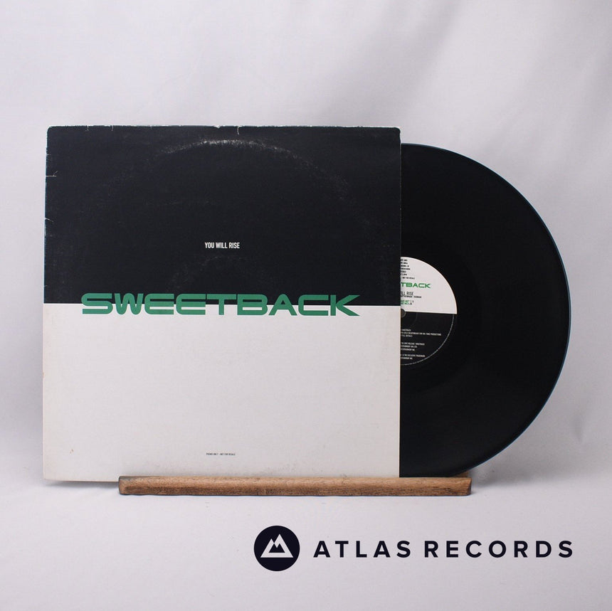 Sweetback You Will Rise 12" Vinyl Record - Front Cover & Record