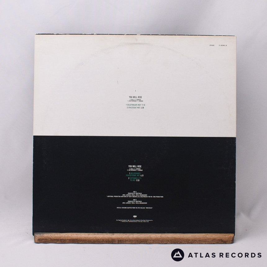 Sweetback - You Will Rise - Promo 12" Vinyl Record - VG+/EX