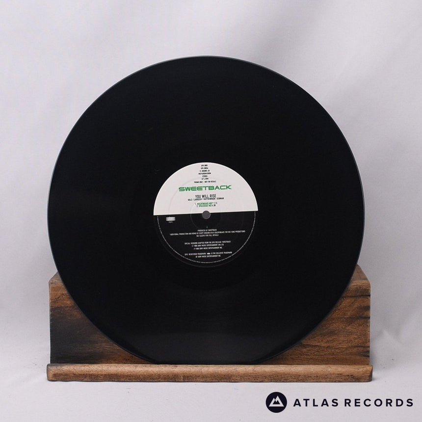 Sweetback - You Will Rise - Promo 12" Vinyl Record - VG+/EX