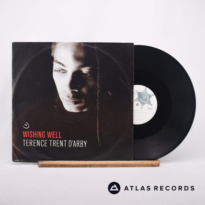Terence Trent D'Arby Wishing Well 12" Vinyl Record - Front Cover & Record
