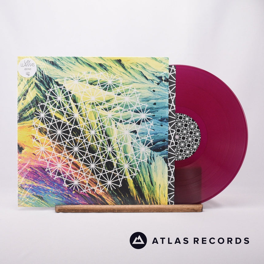The Lay Llamas Østrø LP Vinyl Record - Front Cover & Record