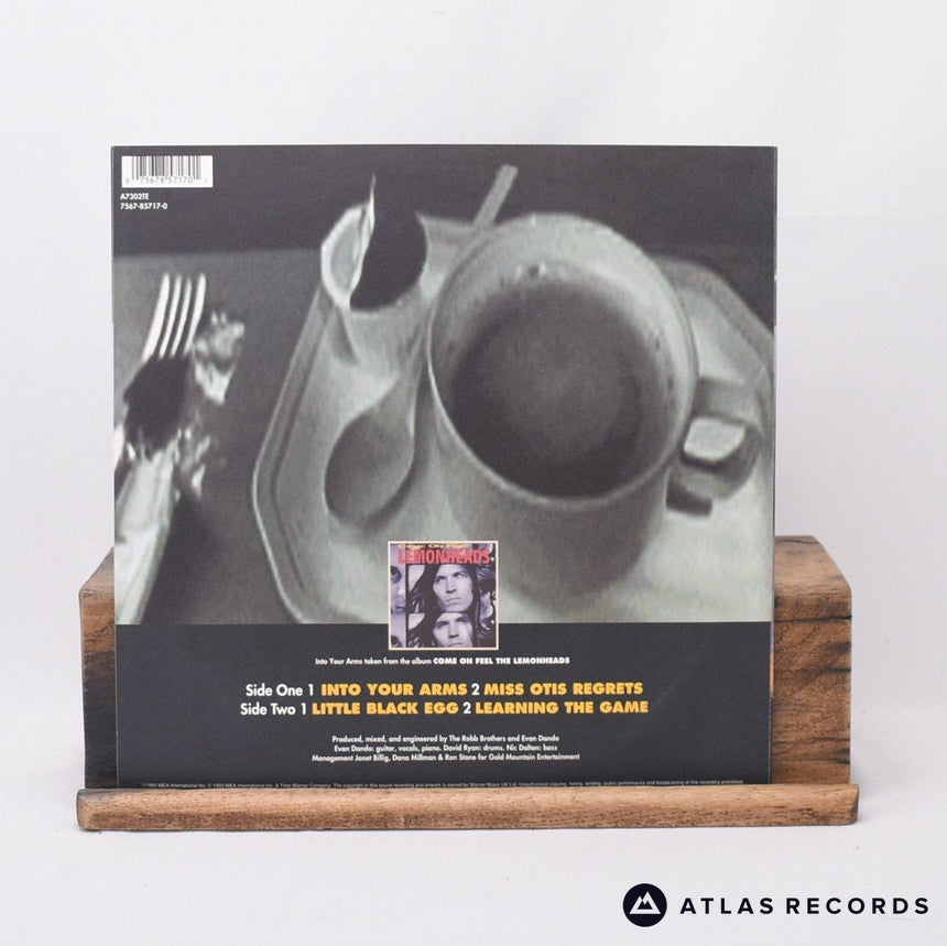 The Lemonheads - Into Your Arms - 10" Vinyl Record - NM/EX