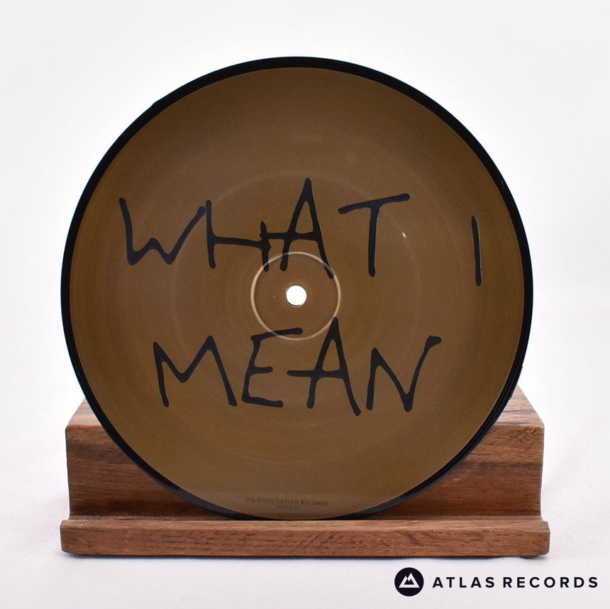 The Like - What I Say And What I Mean - Picture Disc 7" Vinyl Record - EX/EX