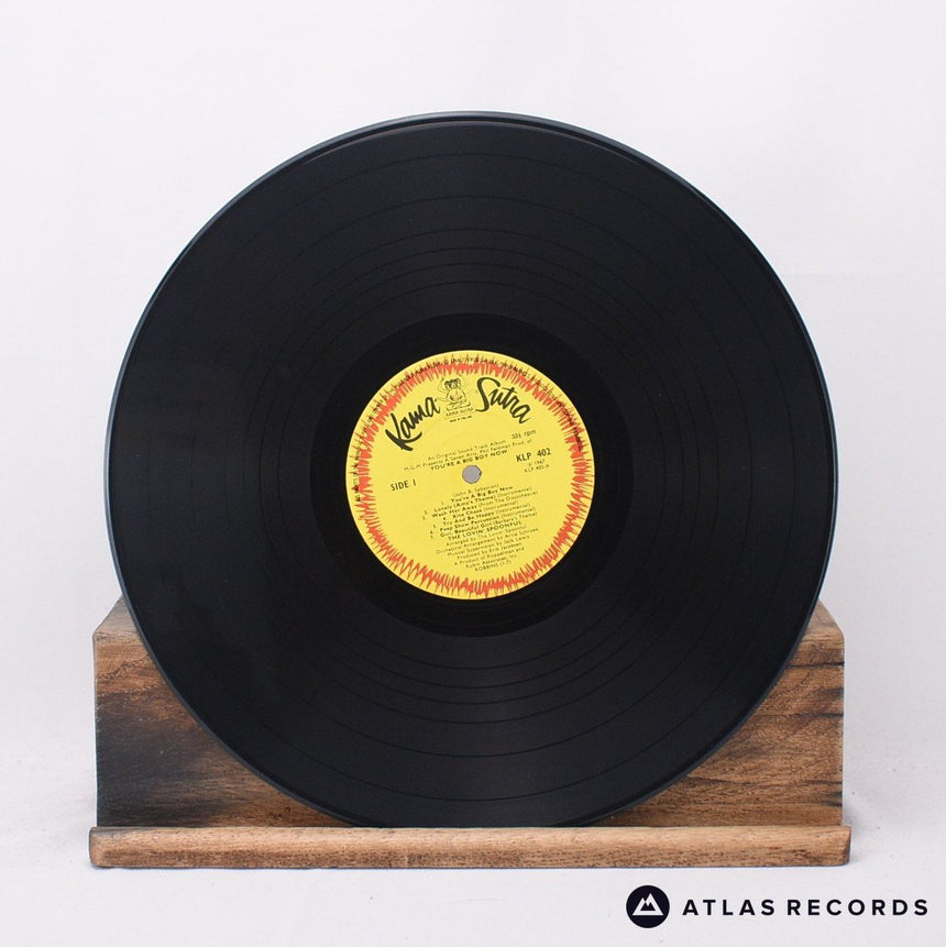 The Lovin' Spoonful - You're A Big Boy Now - The Original Sound Track - LP Vinyl