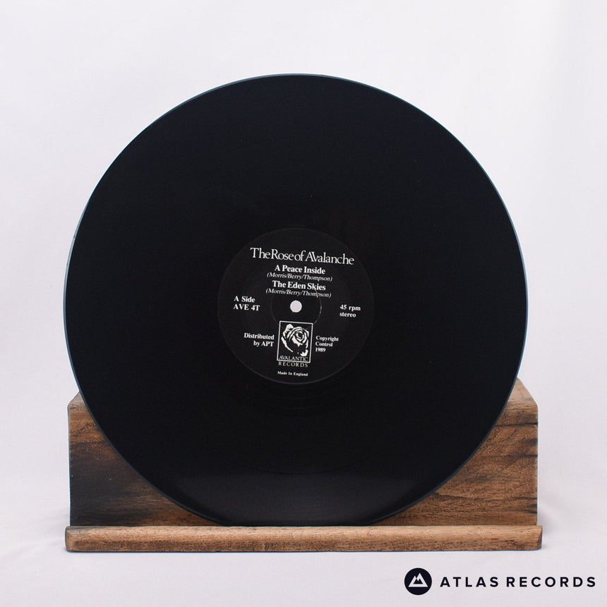 The Rose Of Avalanche - A Peace Inside E.P. - 12" Vinyl Record - VG+/EX