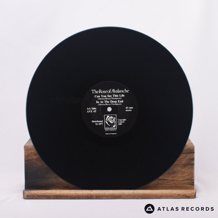 The Rose Of Avalanche - A Peace Inside E.P. - 12" Vinyl Record - VG+/EX