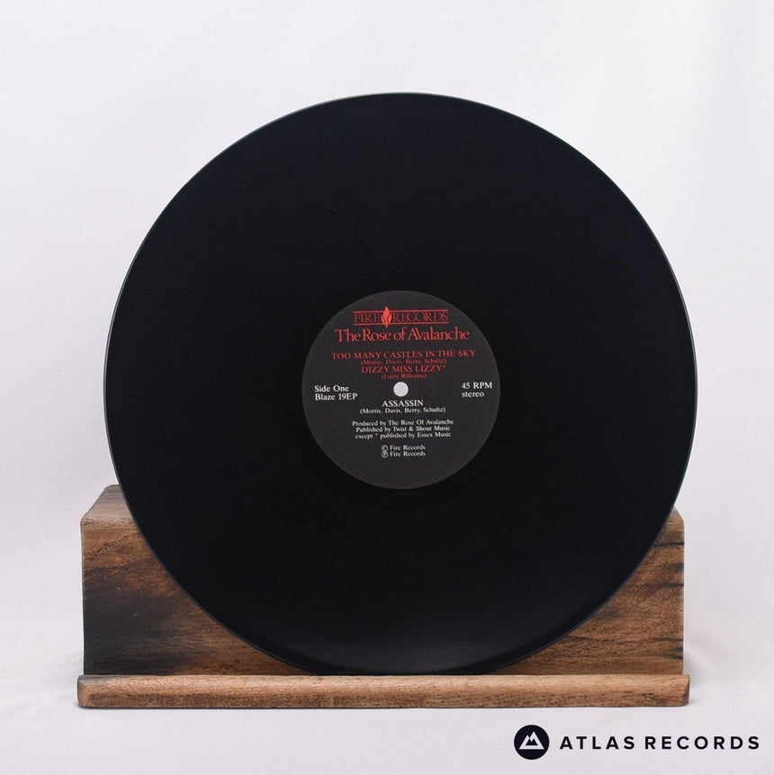 The Rose Of Avalanche - Too Many Castles In The Sky - 12" Vinyl Record - VG+/EX