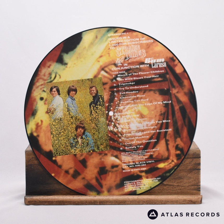 The Seeds - Evil Hoodoo - Picture Disc Reissue Limited Edition LP Vinyl Record -