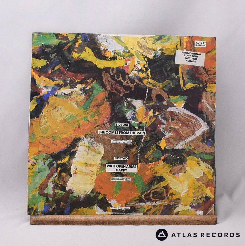 The Weather Prophets - She Comes From The Rain - 12" Vinyl Record - EX/EX