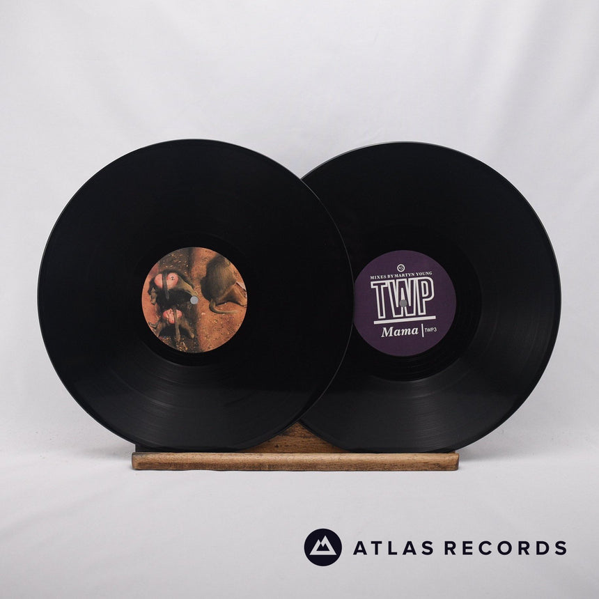 The Wolfgang Press - Queer - Bonus 12' LP + 12" Vinyl Record - EX/VG+