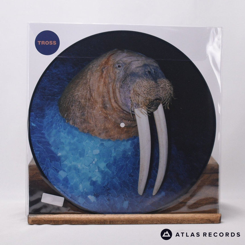 Tross The Walrus EP 12" Vinyl Record - In Sleeve