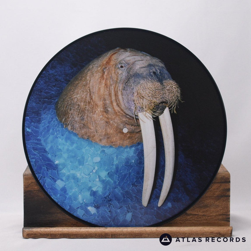 Tross - The Walrus EP - Limited Edition Picture Disc 12" Vinyl Record -