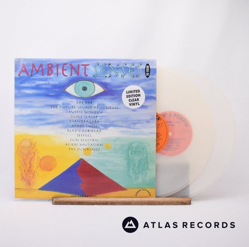 Various - Ambient Senses - The Vision - A1 B1 Double LP Vinyl Record - EX/EX