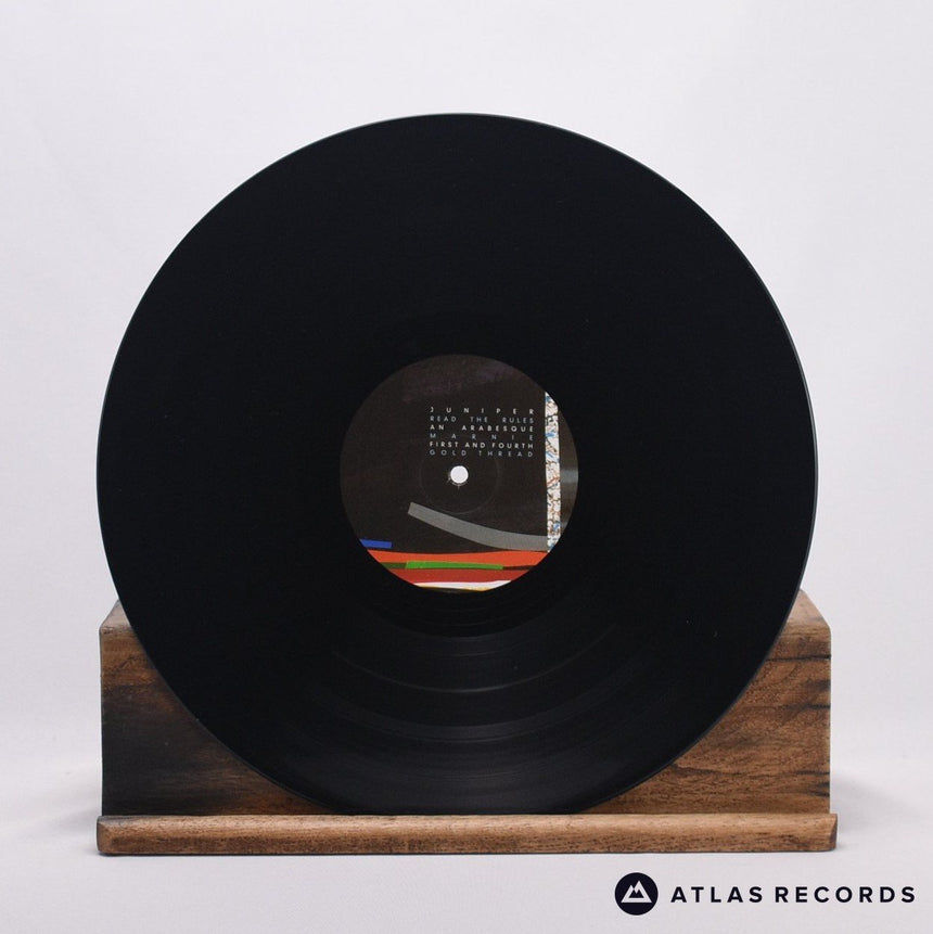 Virginia Wing - Measures Of Joy - LP Vinyl Record - NM/NM