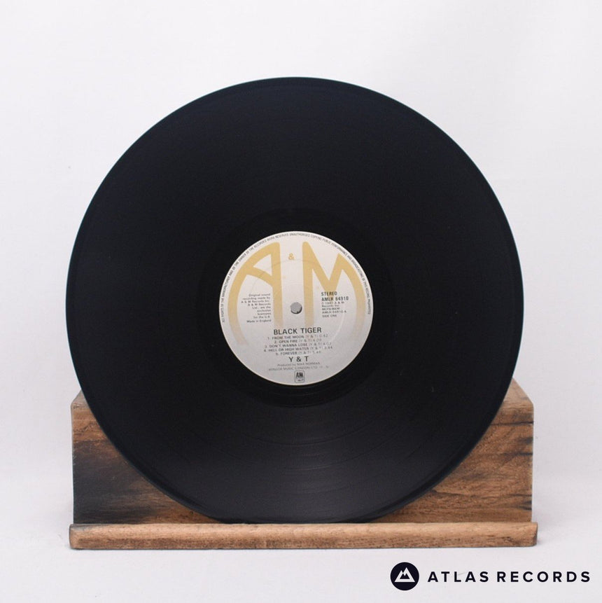 Y & T - Black Tiger - LP Vinyl Record - VG+/VG+