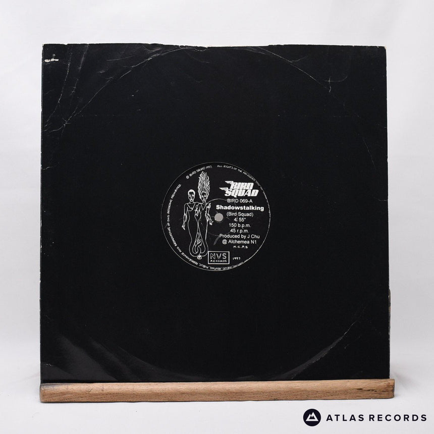 Bird Squad - Shadowstalking - 12" Vinyl Record - VG+