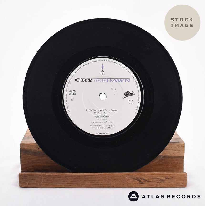 Cry Before Dawn The Seed That's Been Sown Vinyl Record - Record A Side