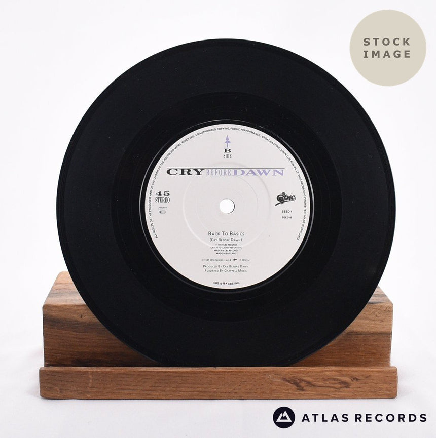 Cry Before Dawn The Seed That's Been Sown Vinyl Record - Record B Side