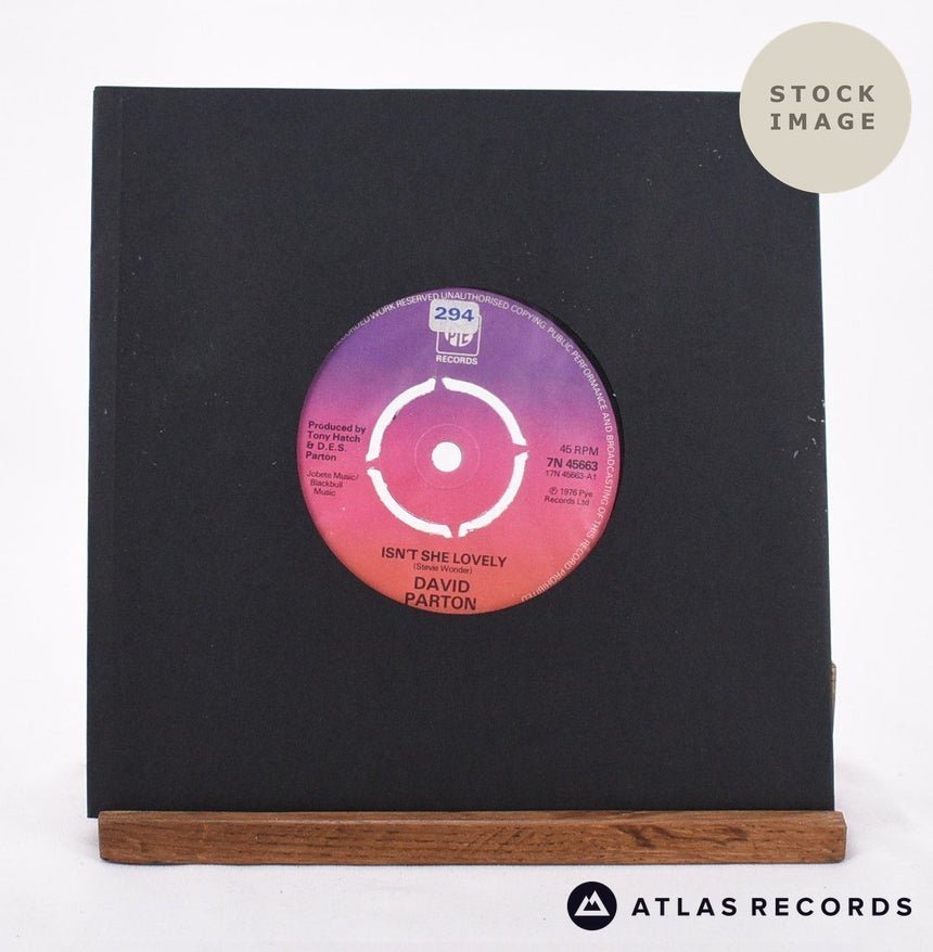 David Parton Isn't She Lovely 1976 Vinyl Record - In Sleeve