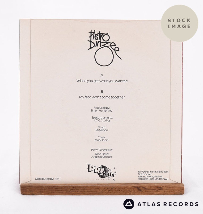 Pietro Dinzee When You Get What You Wanted Vinyl Record - Reverse Of Sleeve
