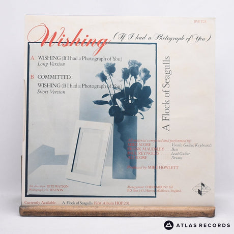 A Flock Of Seagulls - Wishing - 12" Vinyl Record - VG+/EX