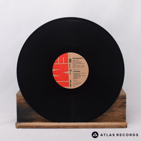 A Raincoat - Digalongamacs - LP Vinyl Record - VG+/EX