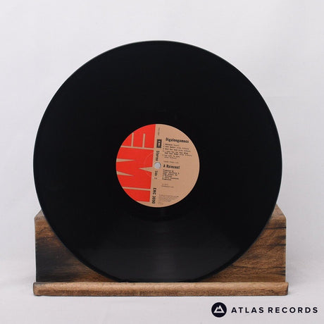 A Raincoat - Digalongamacs - LP Vinyl Record - VG+/EX