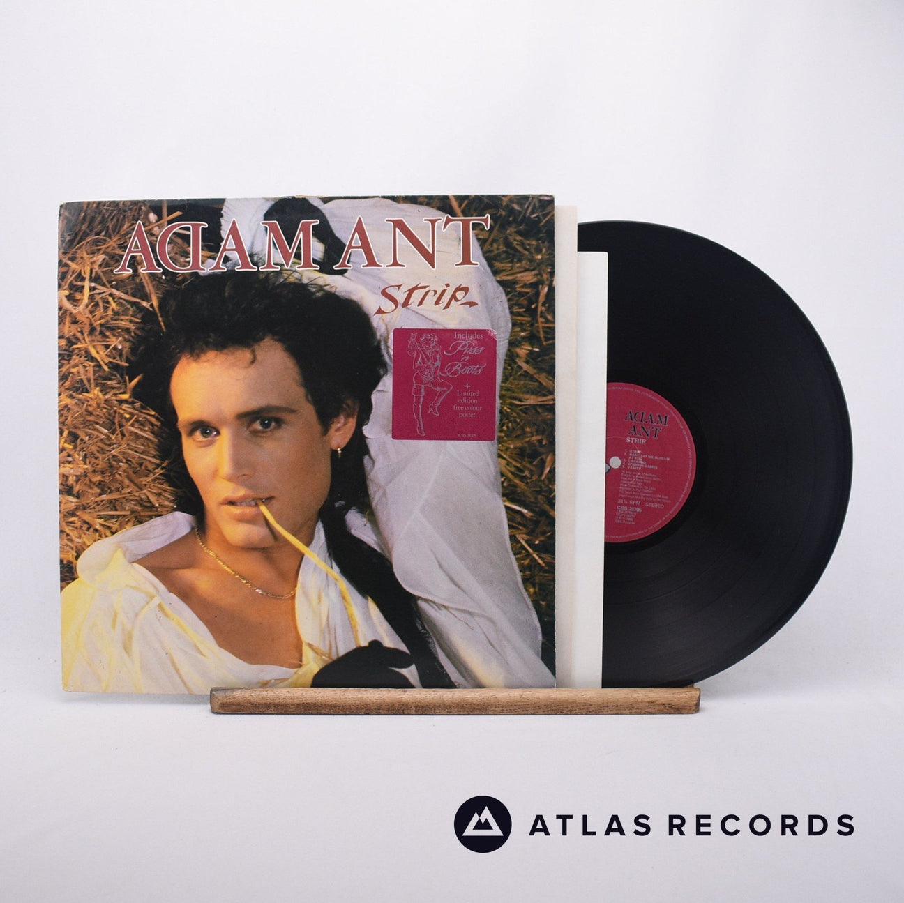 Adam Ant Strip LP Vinyl Record - Front Cover & Record