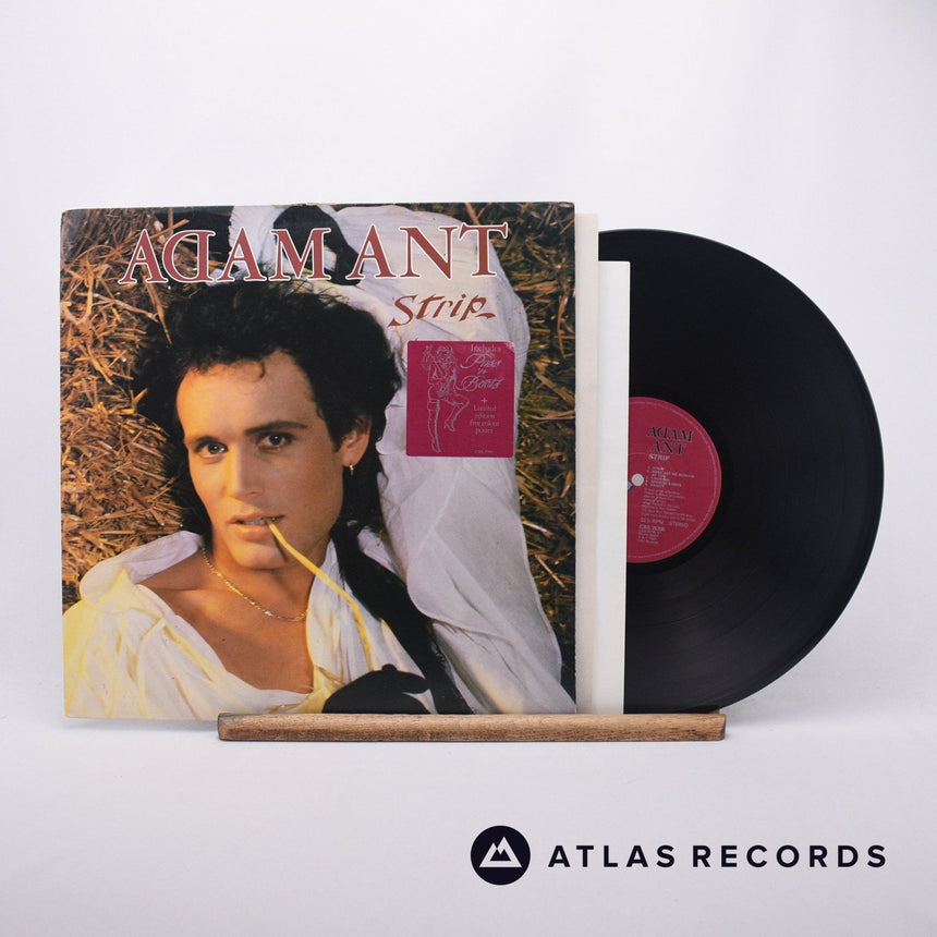 Adam Ant Strip LP Vinyl Record - Front Cover & Record