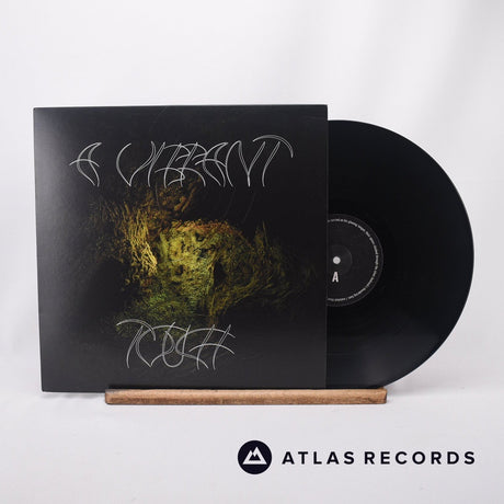 Aleksandra Słyż A Vibrant Touch LP Vinyl Record - Front Cover & Record