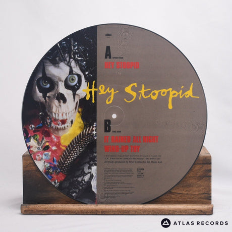 Alice Cooper - Hey Stoopid - Picture Disc 12" Vinyl Record -