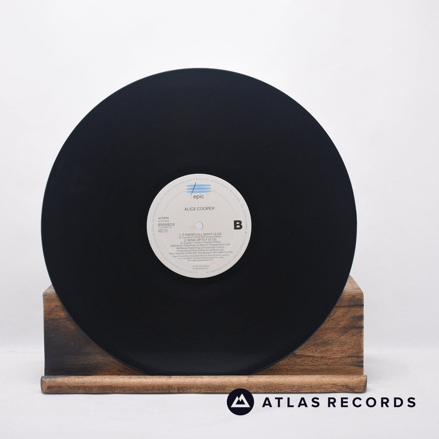 Alice Cooper - Hey Stoopid - 12" Vinyl Record - VG+/VG+
