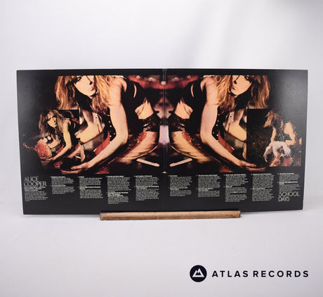 Alice Cooper - School Days - The Early Recordings - 2 x LP Vinyl Record - EX/EX