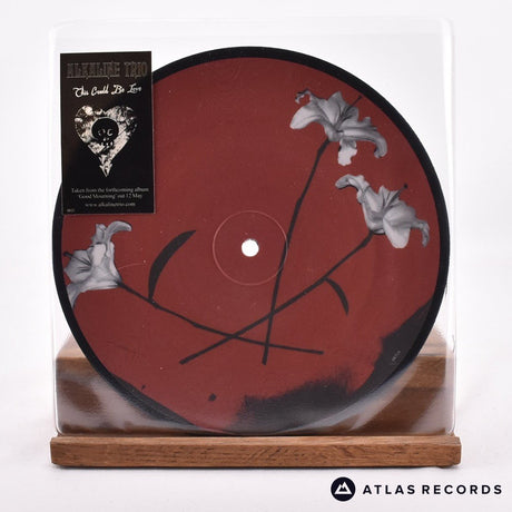 Alkaline Trio This Could Be Love 7" Vinyl Record - Front Cover & Record